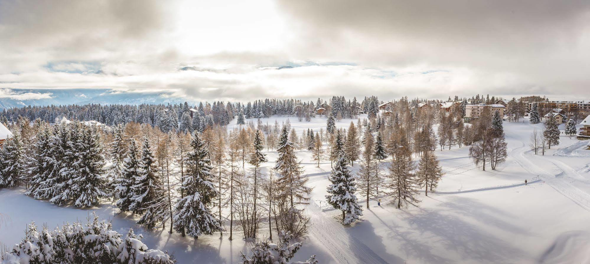 Elite Crans-Montana